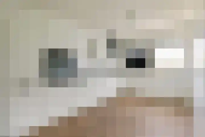 Bijlmerdreef 1101 Amsterdam thumbnail 8