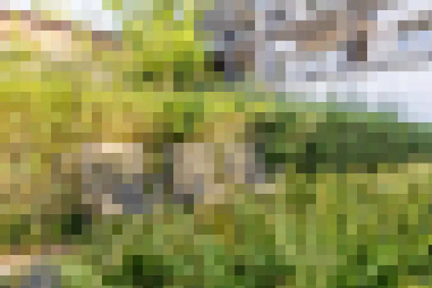 Bijlmerdreef 1116 B Amsterdam thumbnail 37