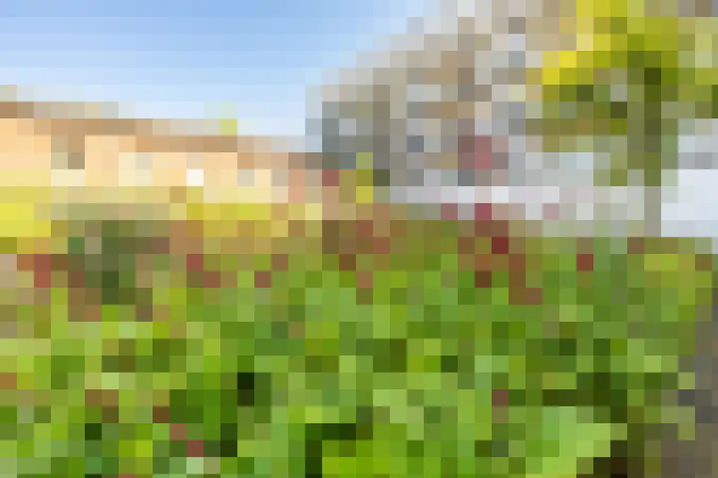 Bijlmerdreef 1116 B Amsterdam thumbnail 38