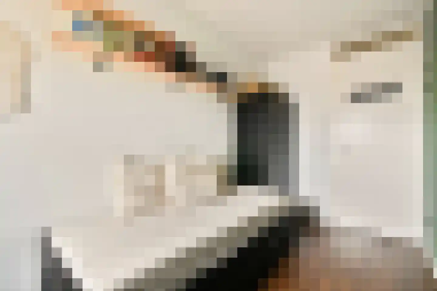 Bijlmerdreef 1193 Amsterdam thumbnail 19