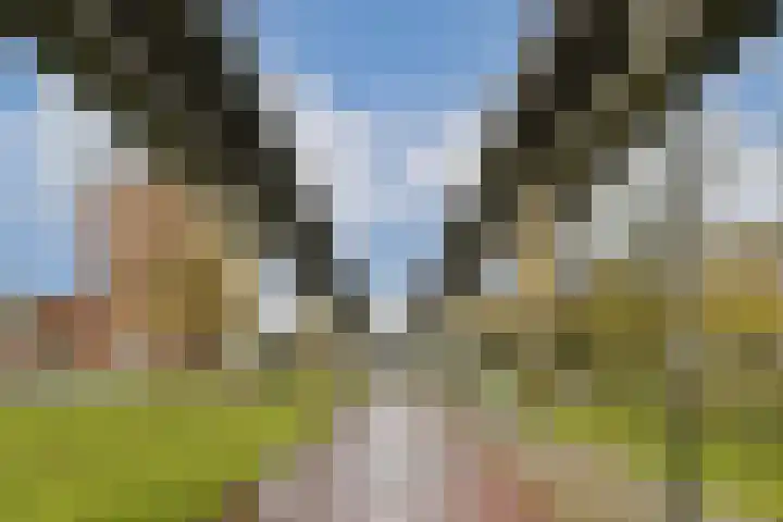 Bijlmerdreef 1205 Amsterdam thumbnail 22
