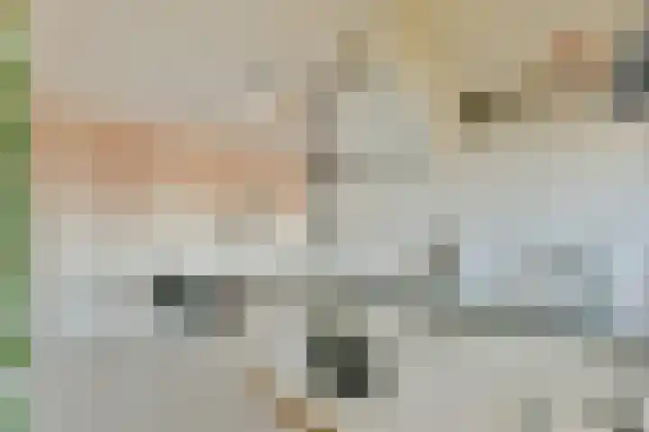Bijlmerdreef 1217 Amsterdam thumbnail 11