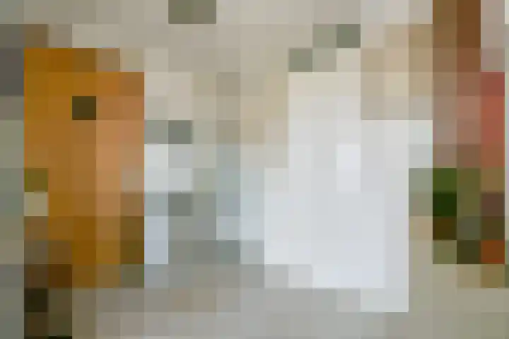 Bijlmerdreef 1217 Amsterdam thumbnail 13