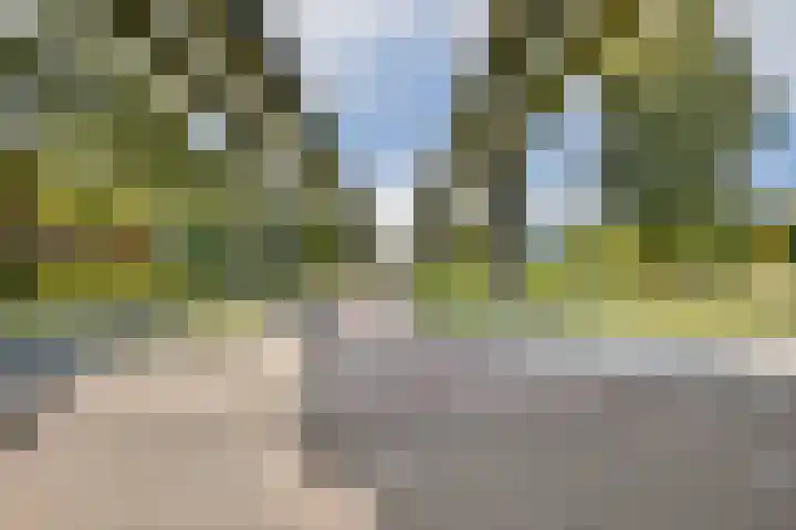 Bijlmerdreef 1217 Amsterdam thumbnail 24