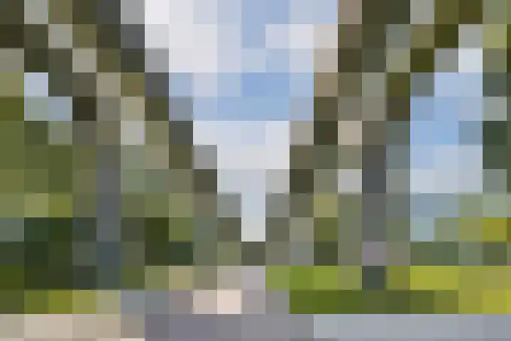 Bijlmerdreef 1217 Amsterdam thumbnail 25