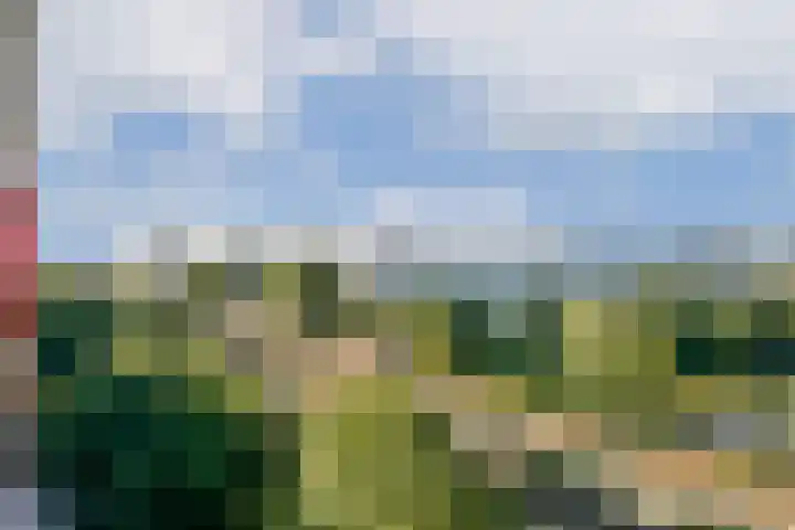Bijlmerdreef 1217 Amsterdam thumbnail 6