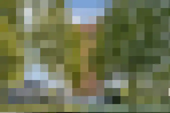 Bijlmerdreef 1217 Amsterdam thumbnail 8