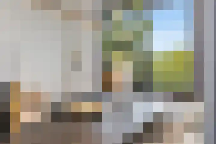 Bijlmerdreef 1222 Amsterdam thumbnail 15