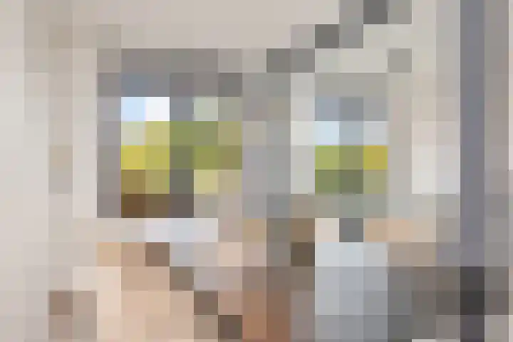 Bijlmerdreef 1222 Amsterdam thumbnail 4