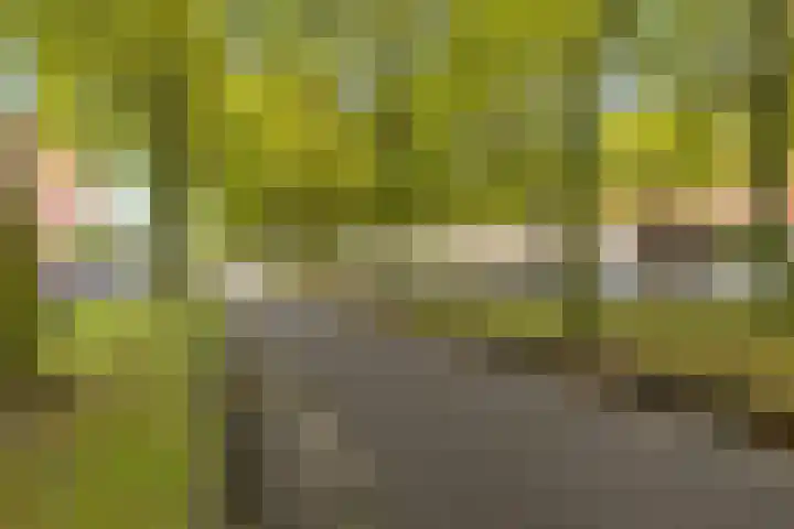 Bijlmerdreef 1222 Amsterdam thumbnail 48
