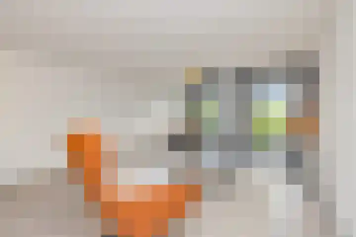 Bijlmerdreef 1222 Amsterdam thumbnail 8