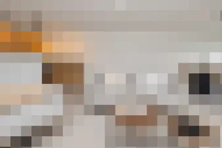 Bijlmerdreef 1222 Amsterdam thumbnail 9