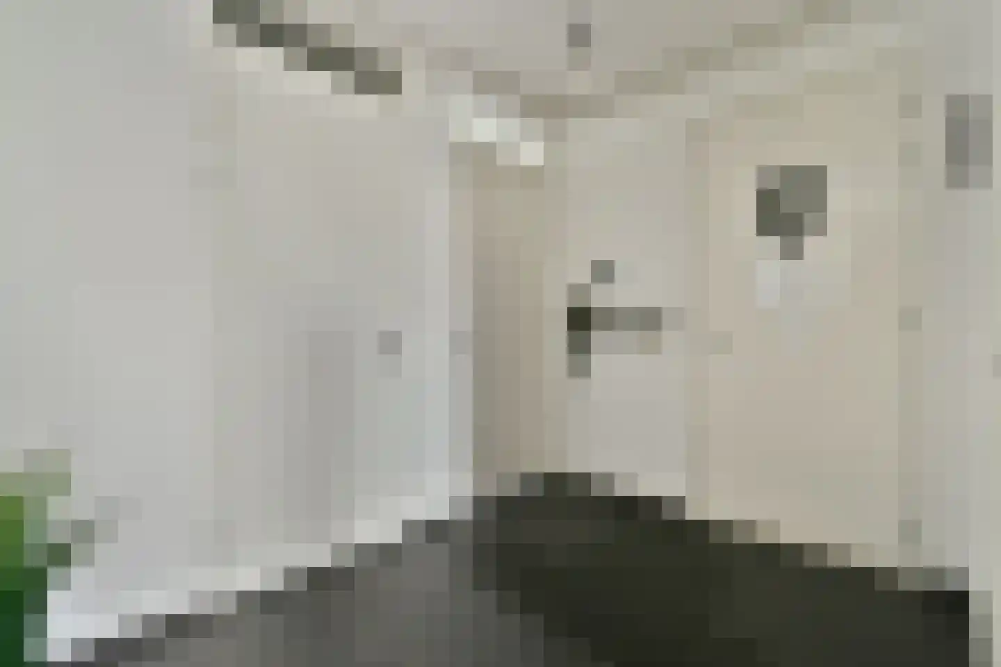 Bijlmerdreef 1231 Amsterdam thumbnail 13