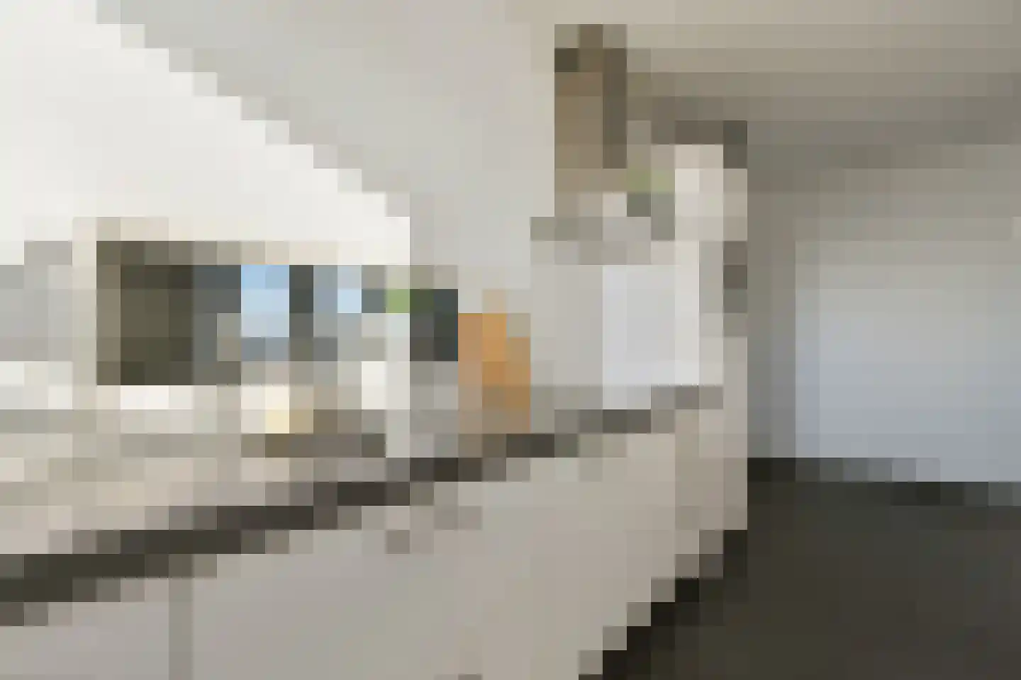 Bijlmerdreef 1231 Amsterdam thumbnail 15