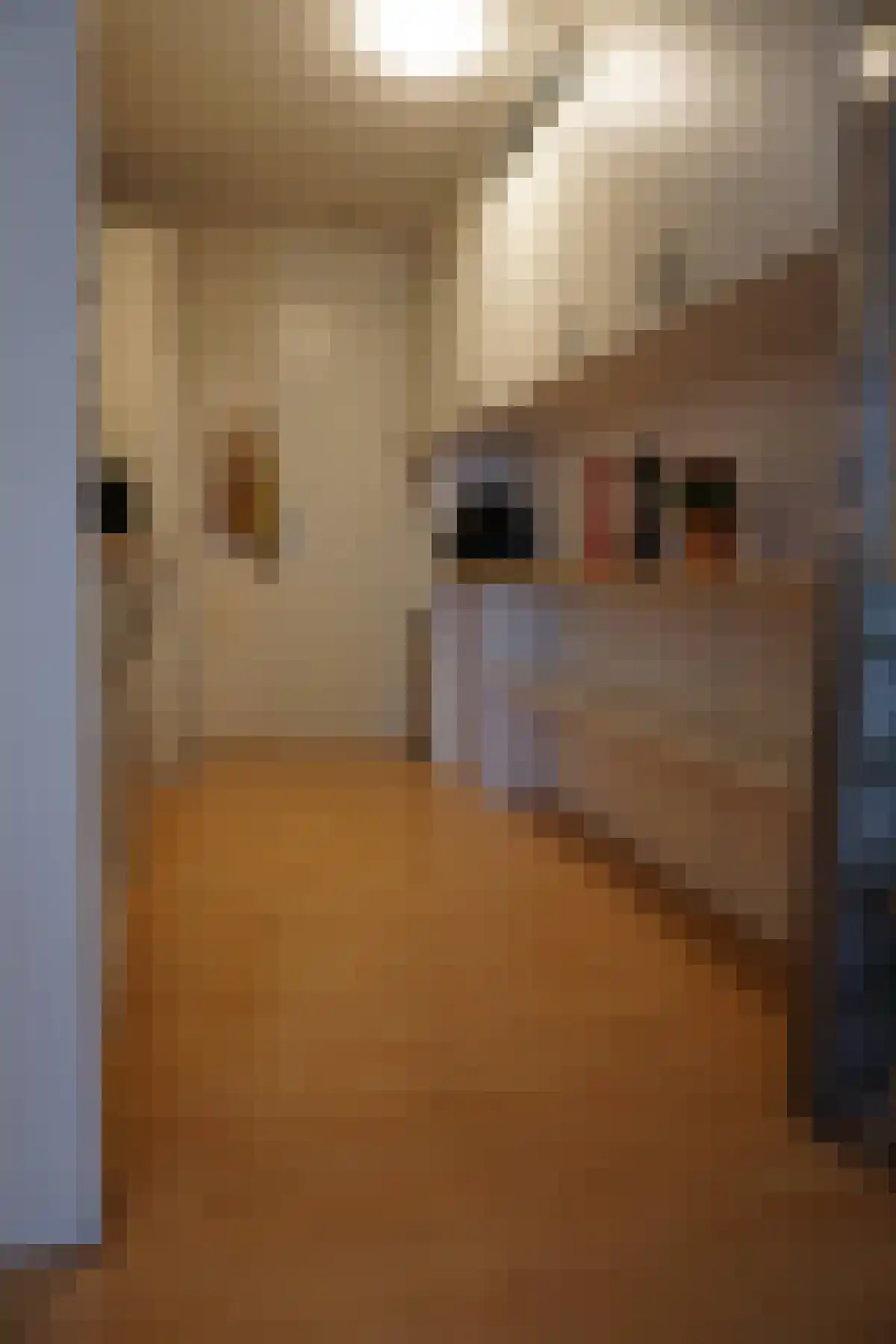 Bijlmerdreef 1265 Amsterdam thumbnail 5
