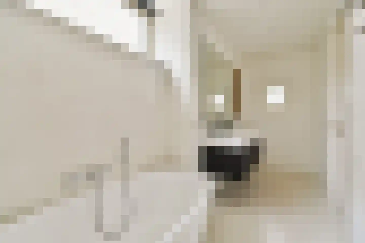 Bijlmerdreef 1442 Amsterdam thumbnail 26
