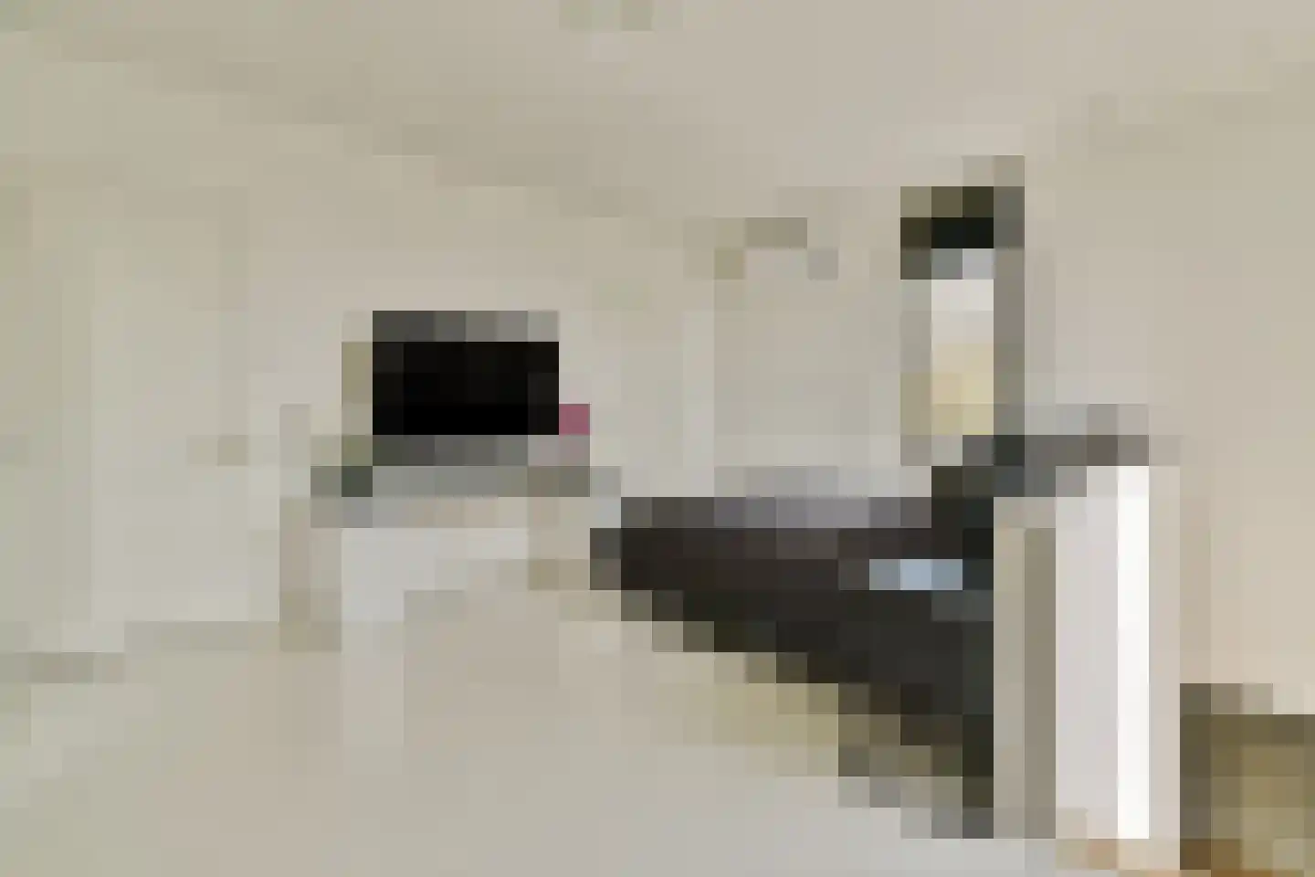 Bijlmerdreef 1442 Amsterdam thumbnail 34