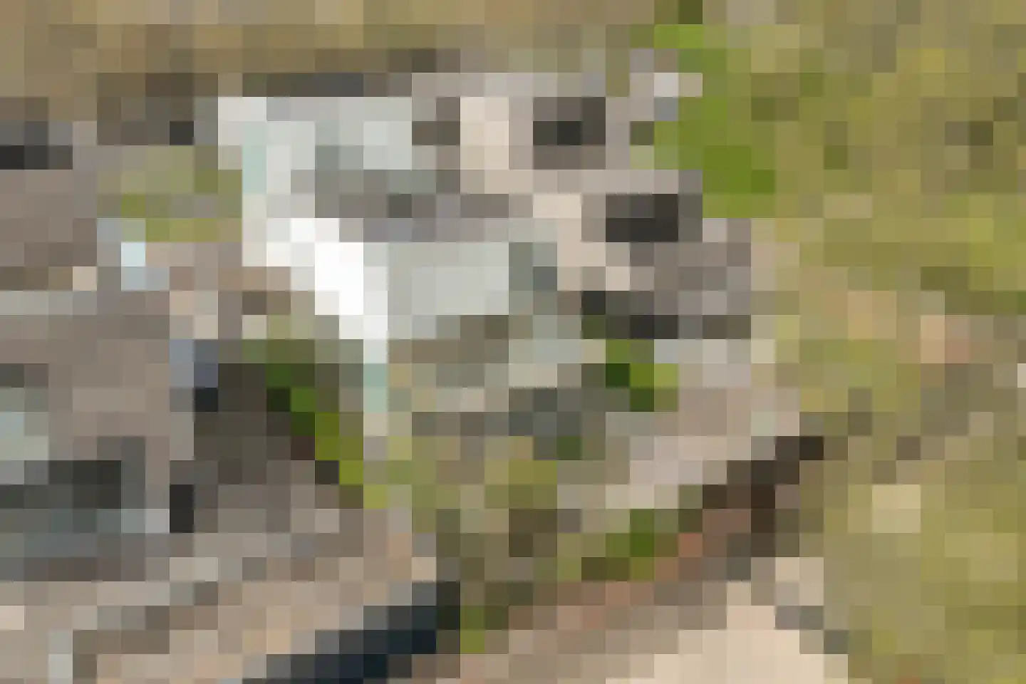 Bijlmerdreef 1442 Amsterdam thumbnail 38