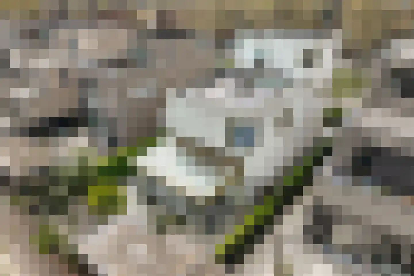 Bijlmerdreef 1442 Amsterdam thumbnail 39