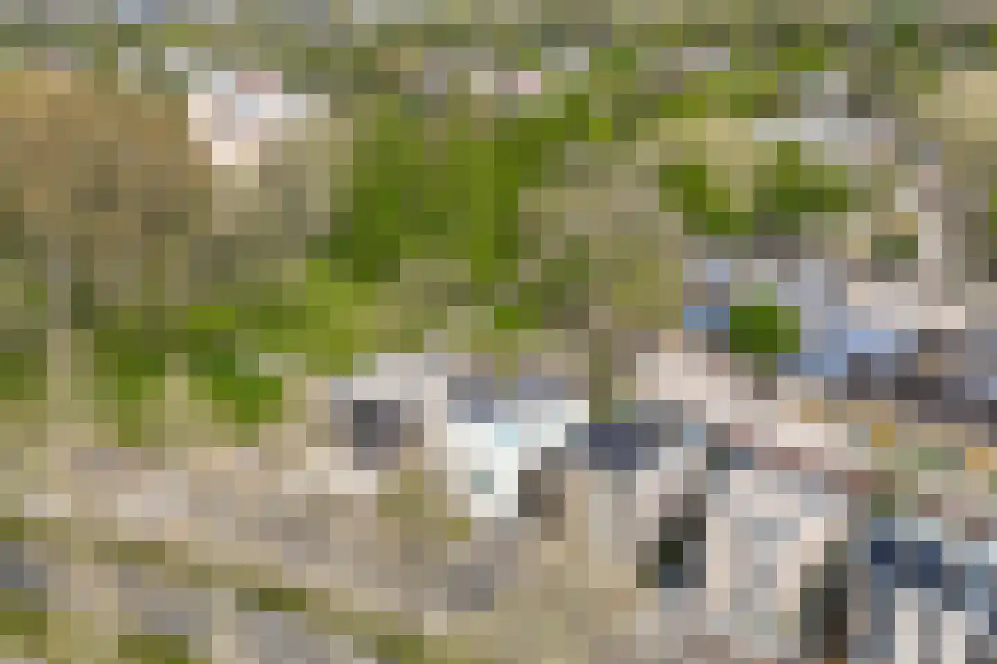 Bijlmerdreef 1442 Amsterdam thumbnail 41