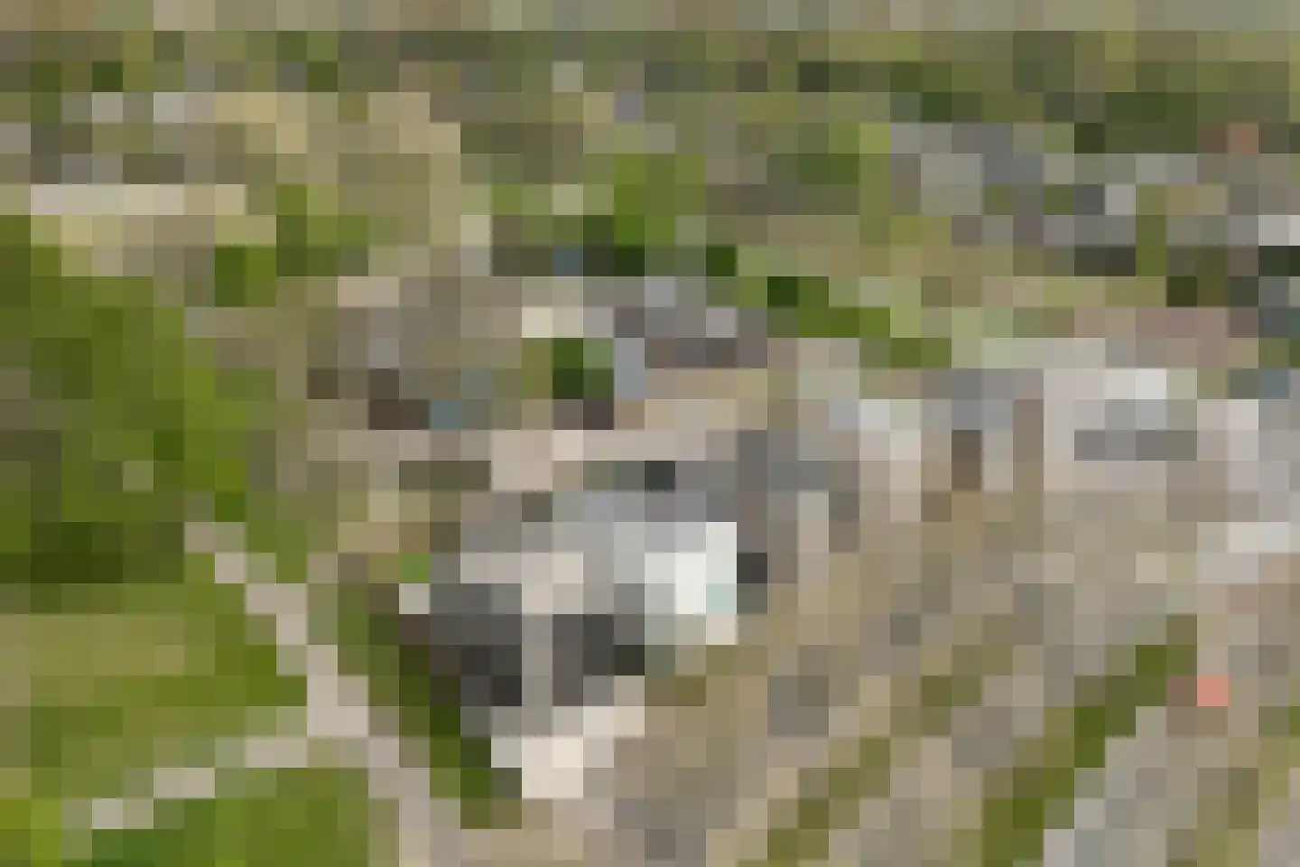 Bijlmerdreef 1442 Amsterdam thumbnail 42