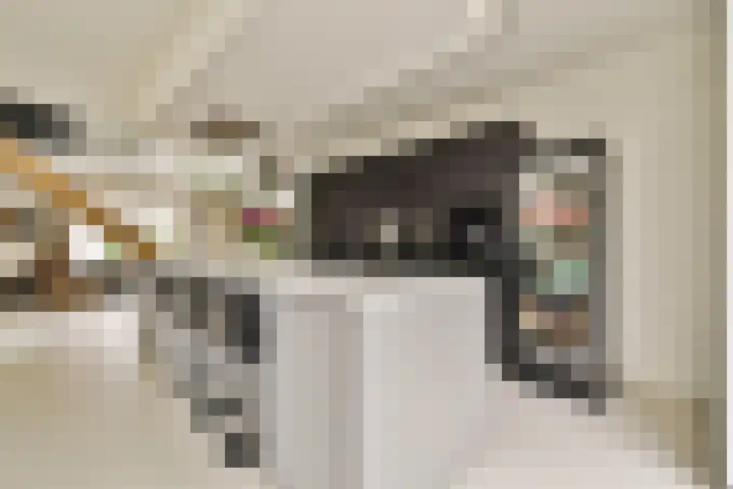 Bijlmerdreef 1442 Amsterdam thumbnail 5