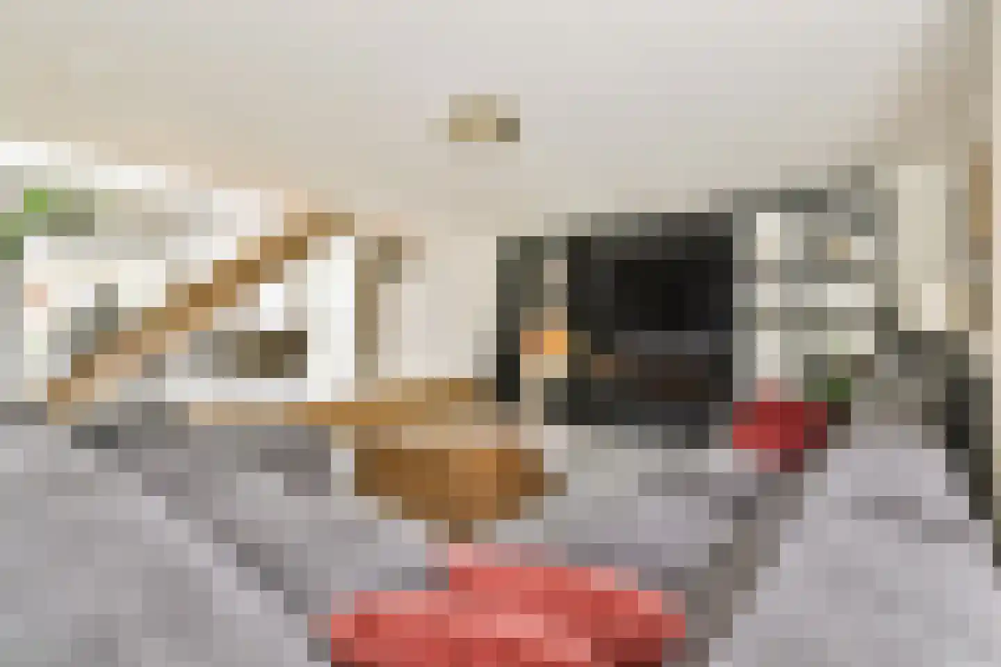 Bijlmerdreef 1442 Amsterdam thumbnail 7