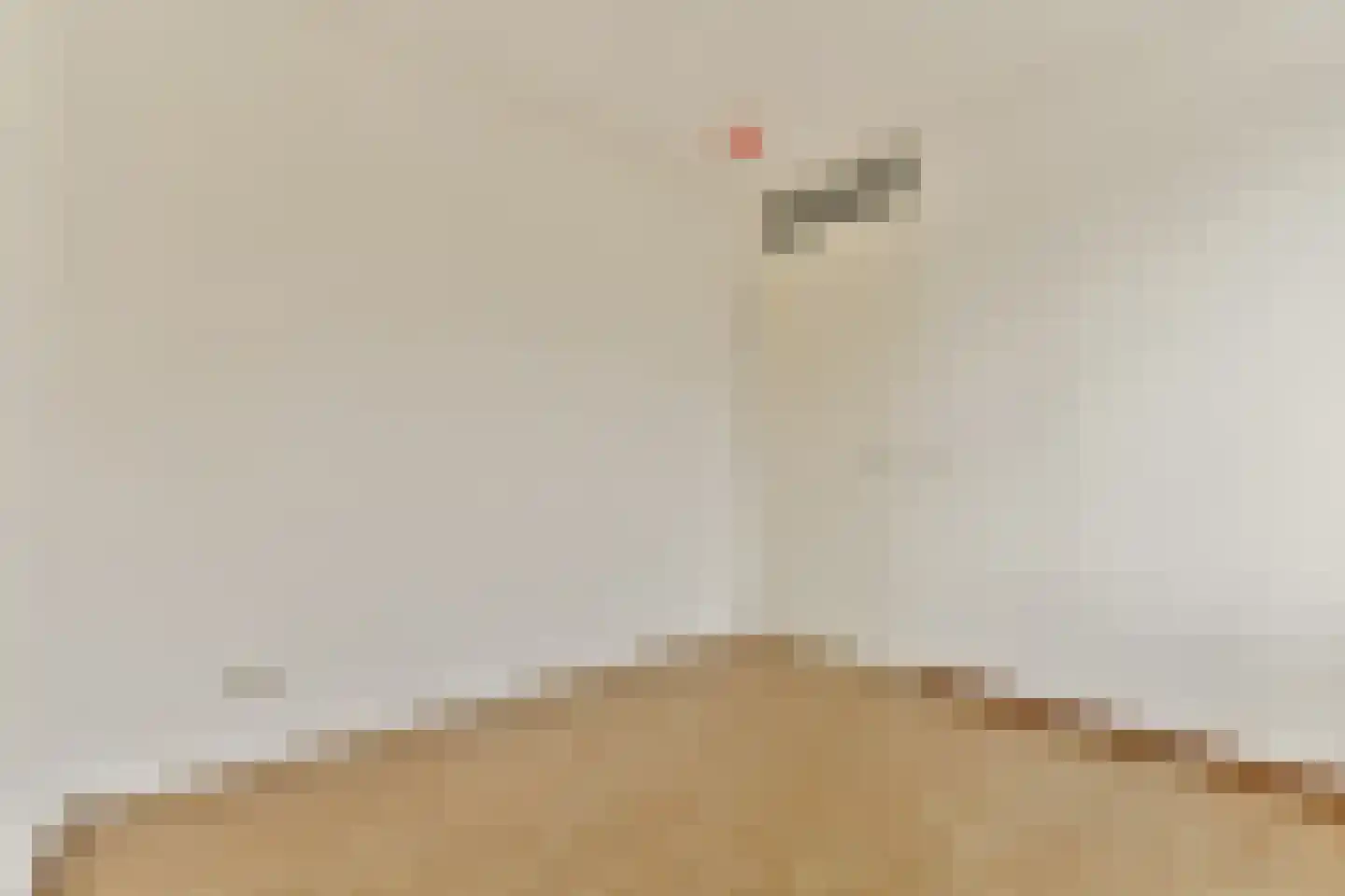Bijlmerdreef 1457 Amsterdam thumbnail 13