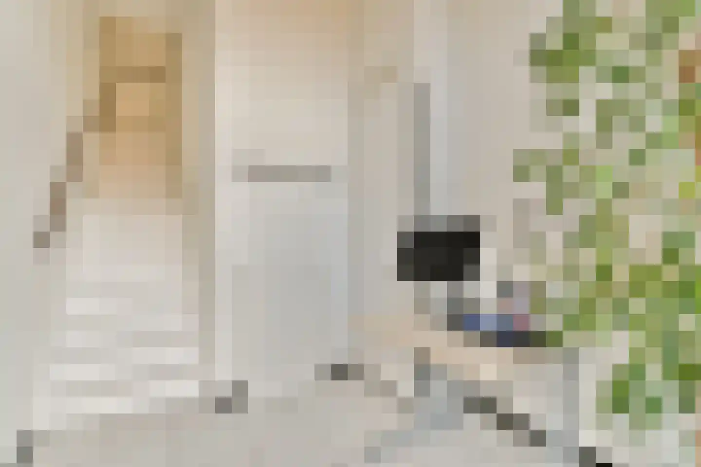 Bijlmerdreef 260 Amsterdam thumbnail 18