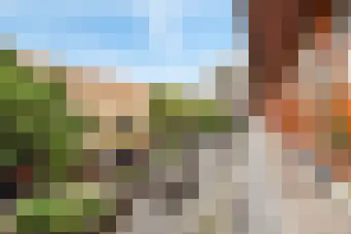 Bijlmerdreef 340 Amsterdam thumbnail 19