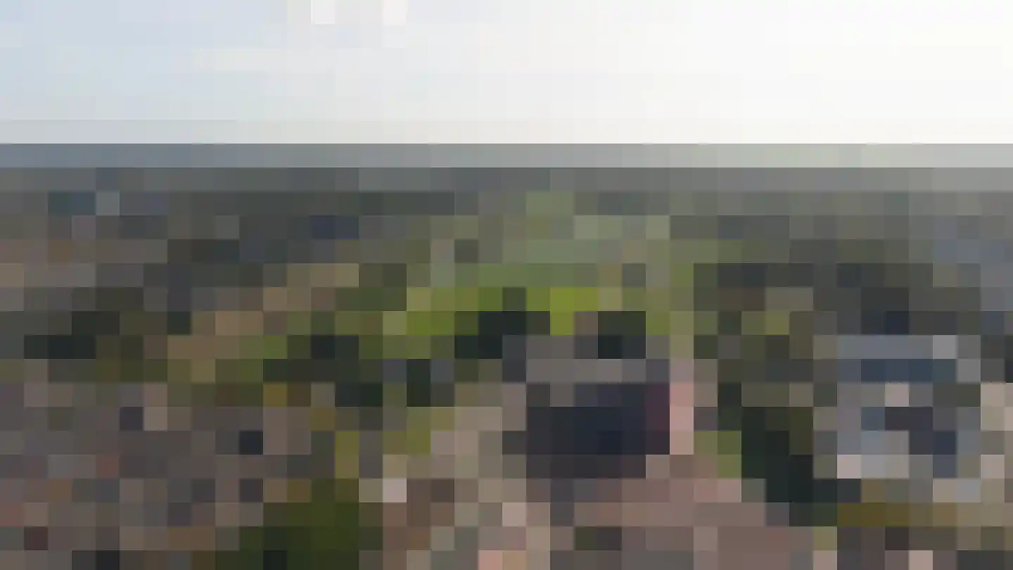 Bijlmerdreef 552 Amsterdam thumbnail 40