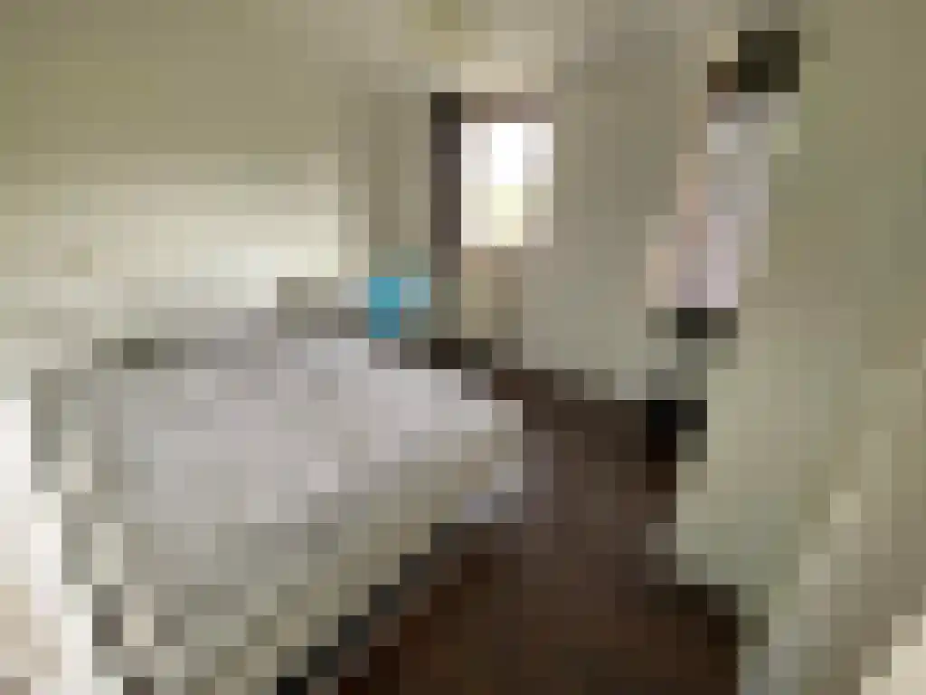 Bijlmerdreef 743 Amsterdam thumbnail 6