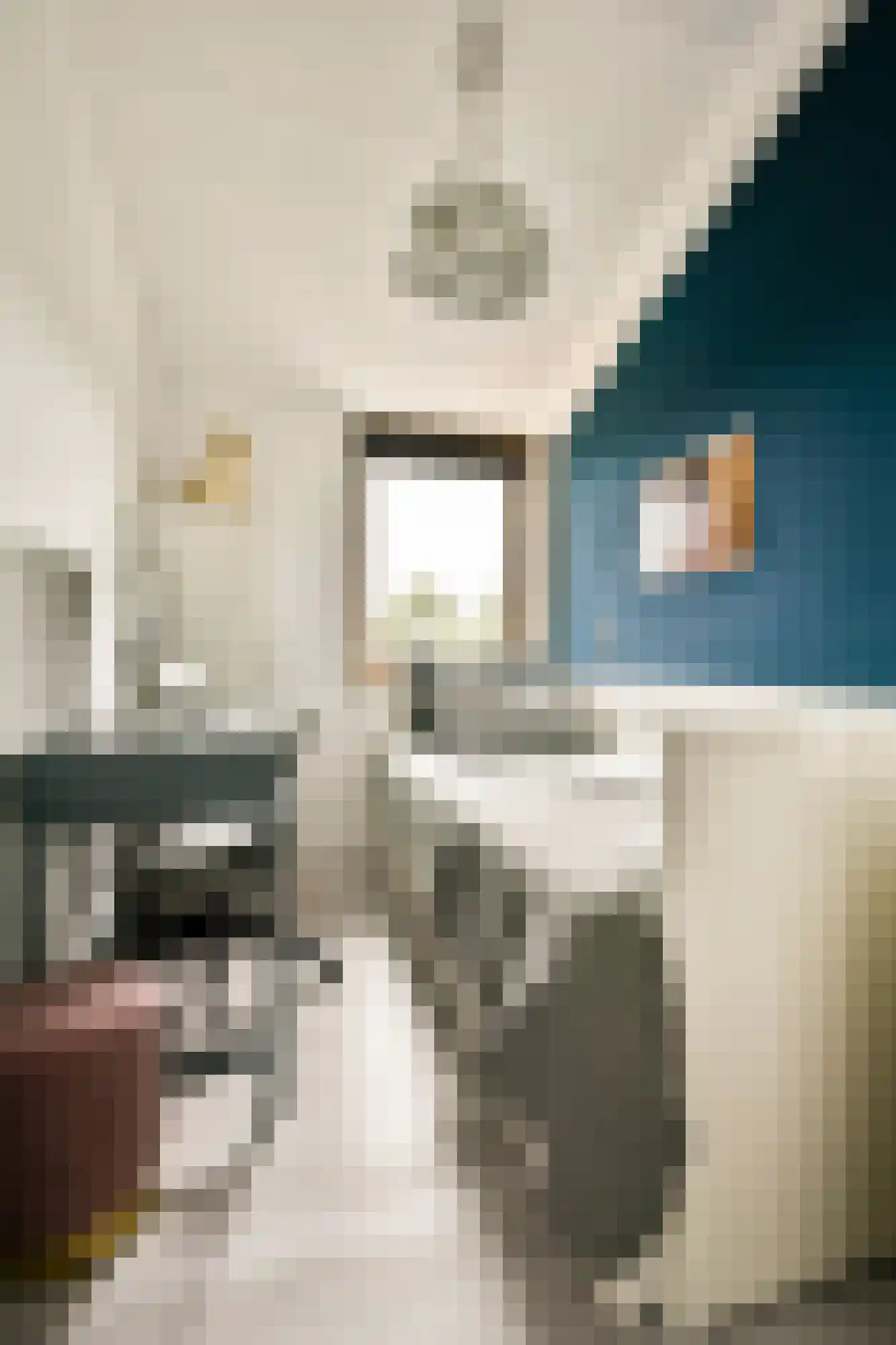 Bijlmerdreef 767 Amsterdam thumbnail 25