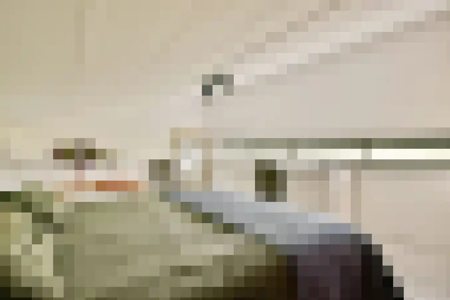 Bijlmerdreef 767 Amsterdam thumbnail 26