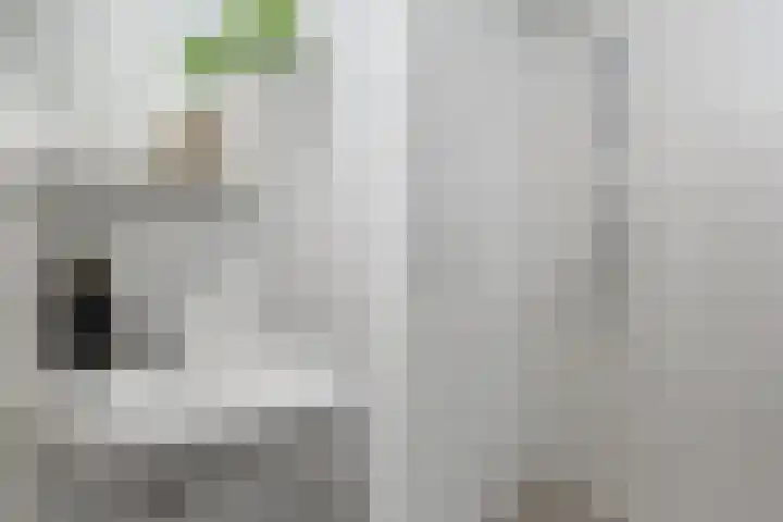 Bijlmerdreef 792 Amsterdam thumbnail 17