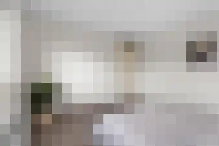 Bijlmerdreef 792 Amsterdam thumbnail 20
