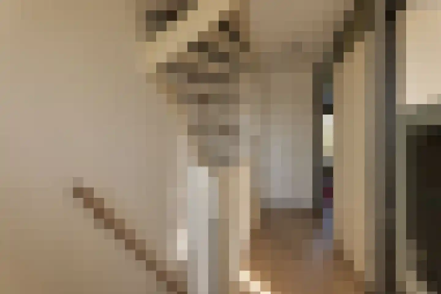 Bijlmerdreef 799 Amsterdam thumbnail 6
