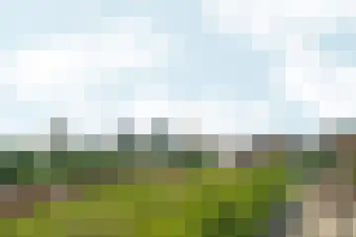 Bijlmerdreef 838 Amsterdam thumbnail 27