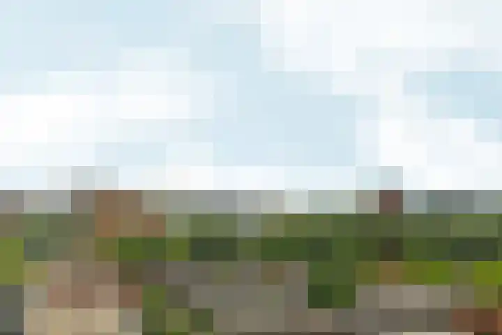 Bijlmerdreef 838 Amsterdam thumbnail 28