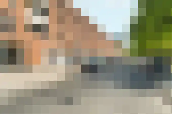 Bijlmerdreef 838 Amsterdam thumbnail 32