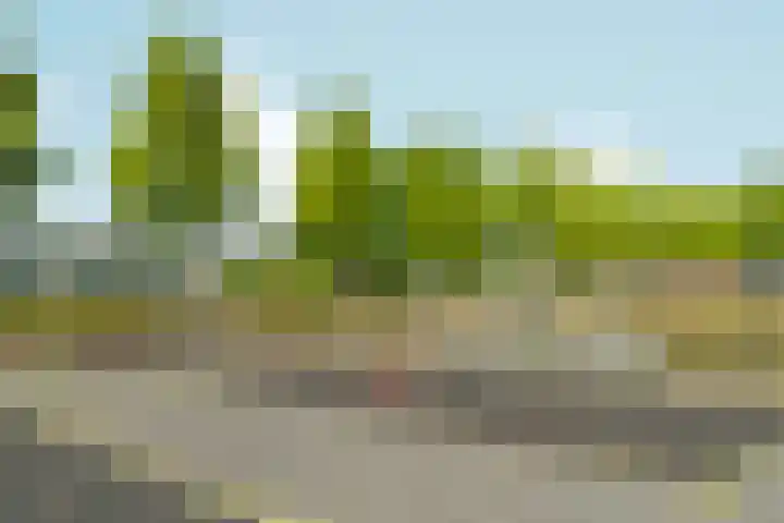 Bijlmerdreef 838 Amsterdam thumbnail 36