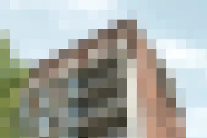 Bijlmerdreef 838 Amsterdam thumbnail 8