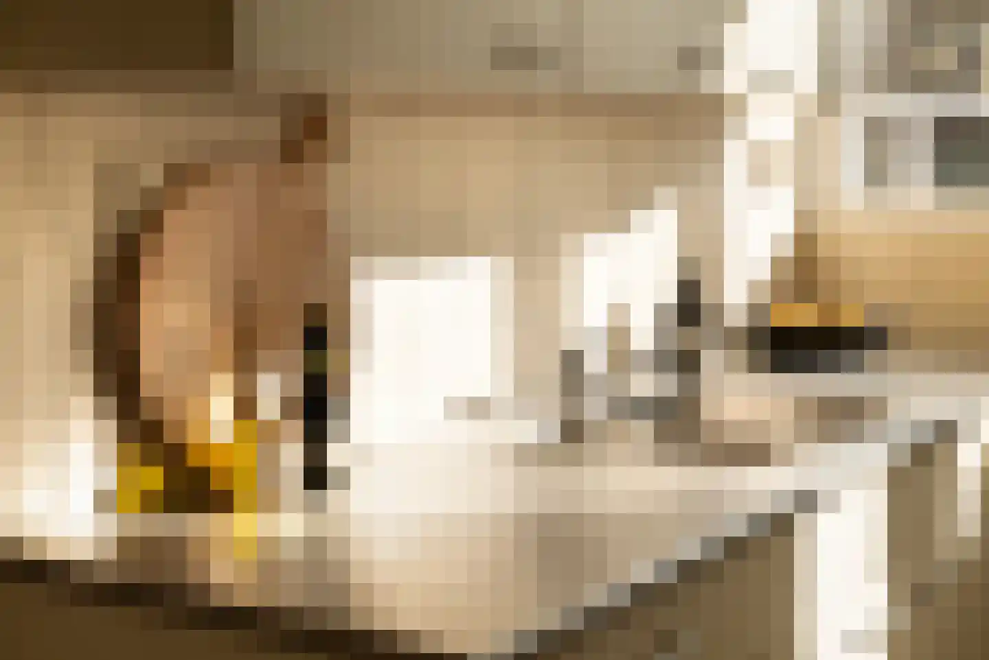 Bijlmerdreef 844 Amsterdam thumbnail 18