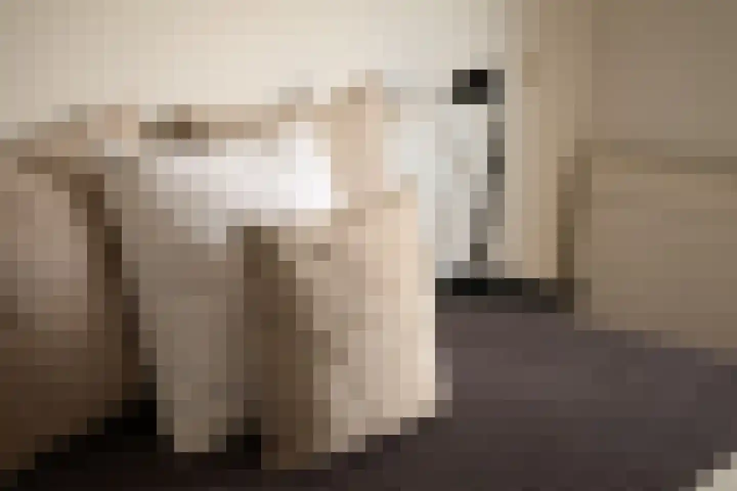 Bijlmerdreef 844 Amsterdam thumbnail 34