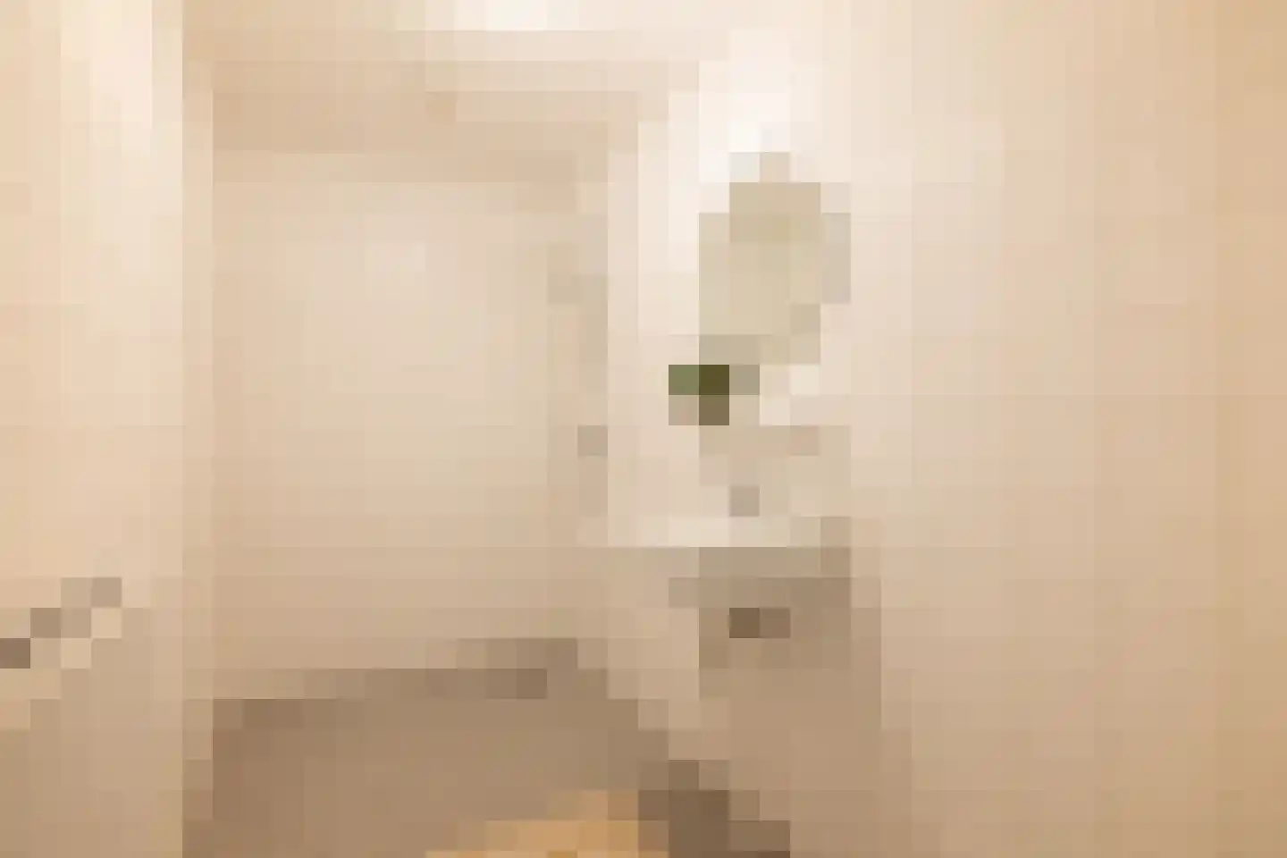 Bijlmerdreef 844 Amsterdam thumbnail 38