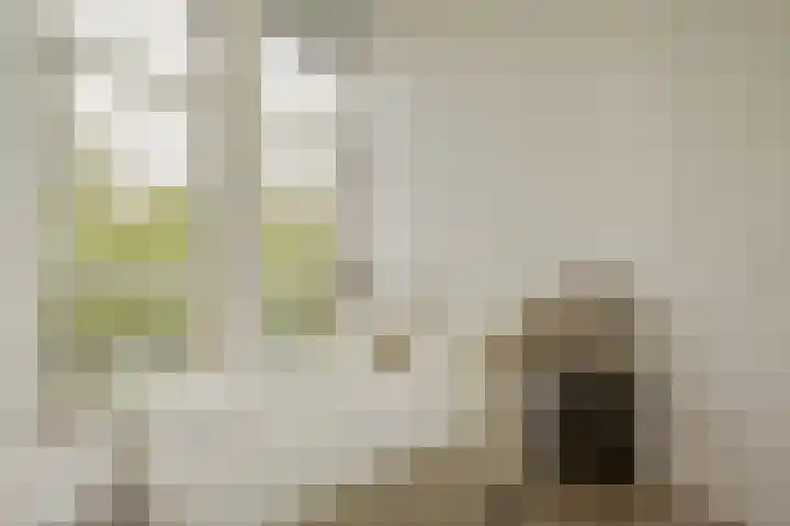Bijlmerdreef 890 B Amsterdam thumbnail 10
