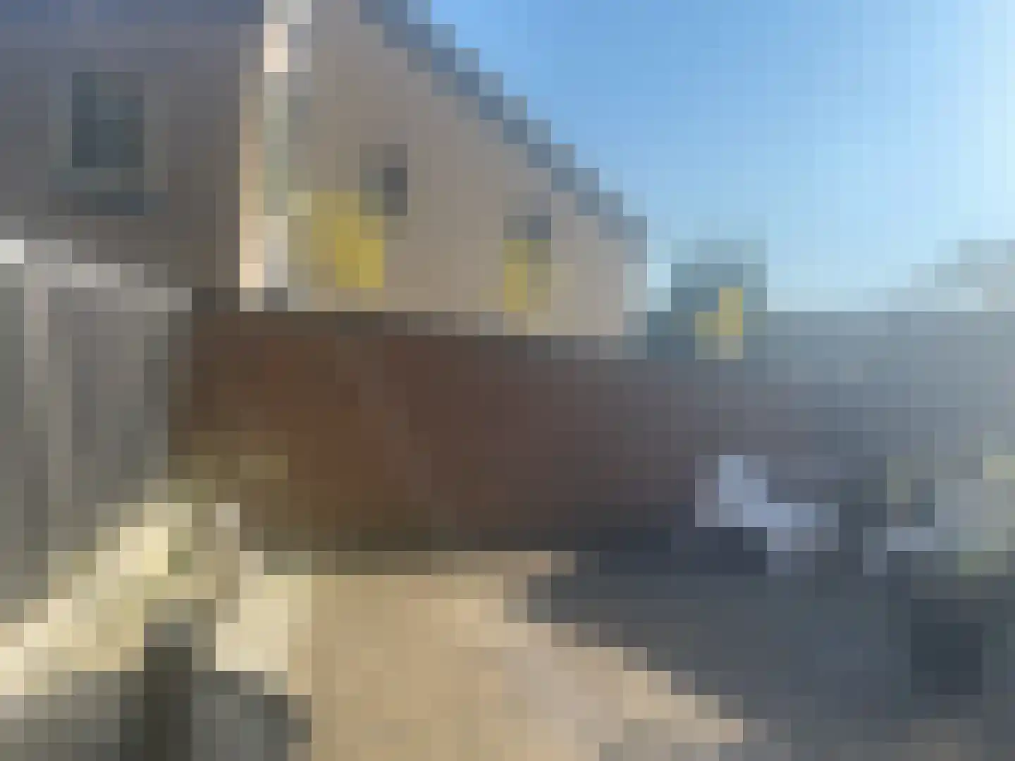 Bijlmerdreef 899 Amsterdam thumbnail 11