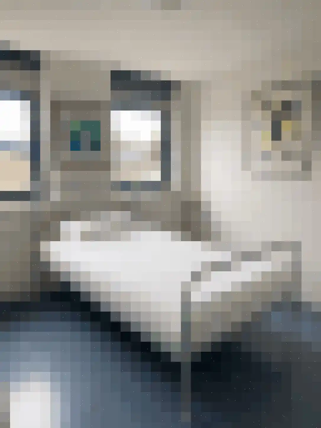 Bijlmerdreef 899 Amsterdam thumbnail 25