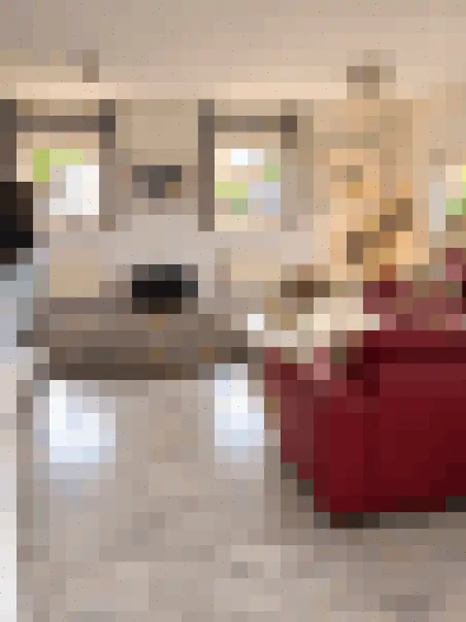 Bijlmerdreef 899 Amsterdam thumbnail 26