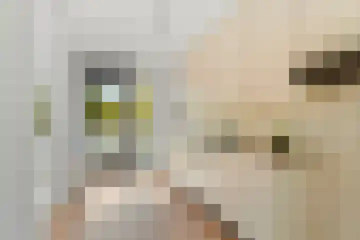 Bijlmerdreef 924 Amsterdam thumbnail 13